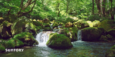 Fabricante de bebidas se compromete a alcanzar cero emisiones en 2050