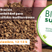 Webinar sobre la certificación Biomasud para biocombustibles sólidos mediterráneos