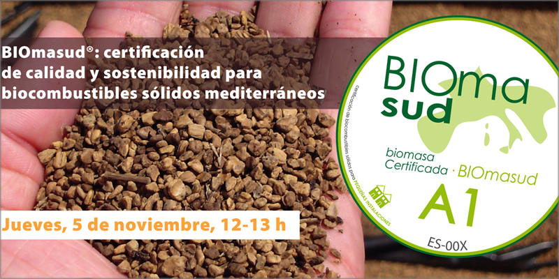 Webinar sobre la certificación Biomasud para biocombustibles sólidos mediterráneos