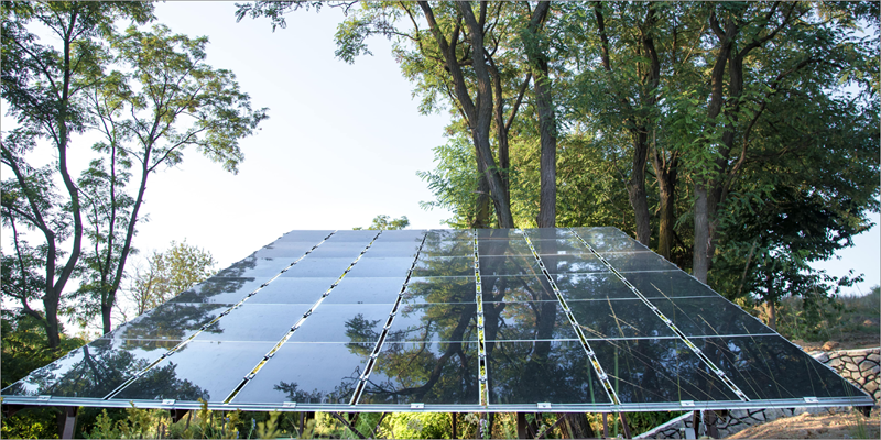  paneles solares creados por la UMA