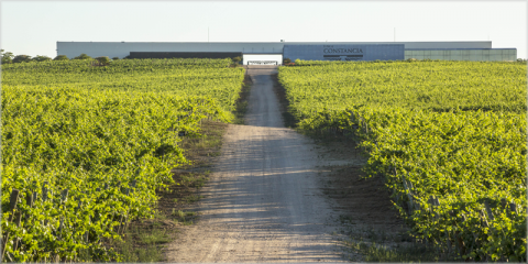 Seis energías renovables y la eficiencia energética promueven el desarrollo sostenible de González Byass
