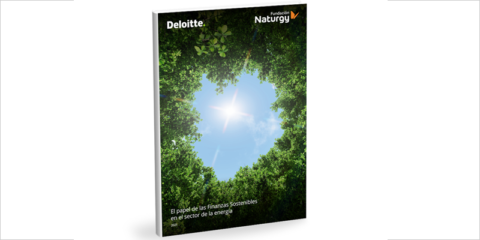 Renovables y eficiencia energética cubren el 79% de los bonos verdes emitidos en 2020 en España