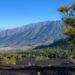 La Palma Renovable impulsa la transición energética ciudadana a través de su Oficina Verde Virtual