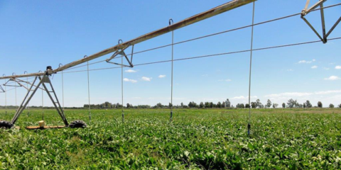 Andalucía destinará 8 millones para la mejora energética de regadíos y explotaciones agropecuarias