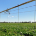 Andalucía destinará 8 millones para la mejora energética de regadíos y explotaciones agropecuarias