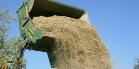 Andalucía reabre la línea de ayudas Pyme Sostenible, que incentiva el uso energético de la biomasa