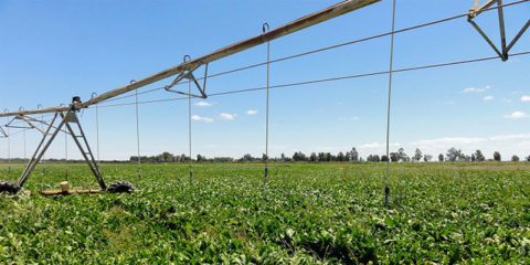 Andalucía convoca ayudas para mejorar la eficiencia energética de explotaciones agropecuarias