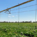 Andalucía convoca ayudas para mejorar la eficiencia energética de explotaciones agropecuarias