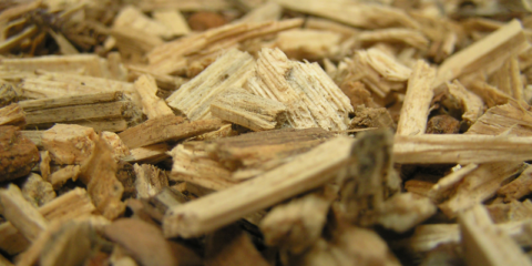 El proyecto DIGIBIO diseña un sistema digital para la revalorización de la biomasa