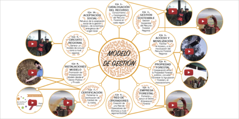 El proyecto Promobiomasse impulsa el mercado energético local de la biomasa forestal en el sudoeste de Europa