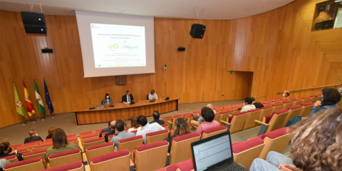 Autoconsumo compartido en 25 municipios de Granada para crear comunidades energéticas