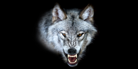 LEDVANCE actualiza la lista de precios para el canal profesional e incluye 330 nuevas referencias