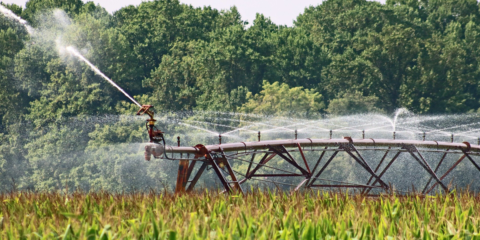 Ampliada la vigencia de las ayudas para la eficiencia energética en explotaciones agropecuarias