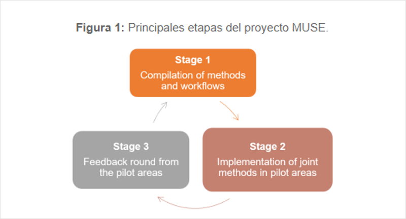 Cuadro explicativo etapas proyecto MUSE.