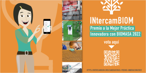 Abierta la votación para elegir la mejor práctica innovadora con biomasa de 2022