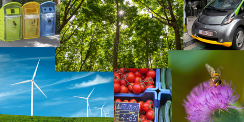 Ayudas de 2.900 millones a empresas españolas con alto consumo energético