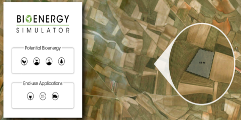 El simulador de bioenergía de Irena permite evaluar el potencial bioenergético de un área concreta