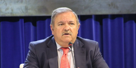José Ortega, presidente de la Federación Nacional de Gestores Energéticos (FENAGE)