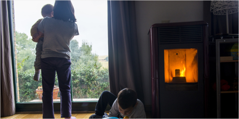 IDAE elaborará estadísticas de biomasa, biogás y residuos para analizar el consumo energético