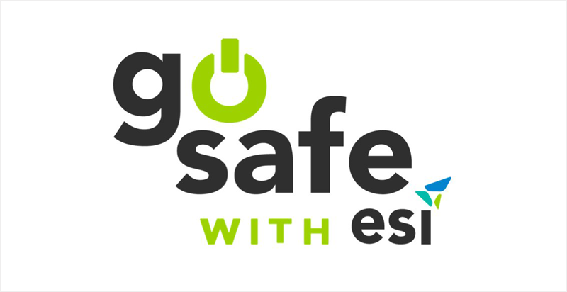 Logo del Proyecto GoSafe with ESI.