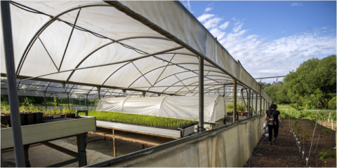 Convocadas las ayudas para fomentar la eficiencia energética en el sector agrario gallego