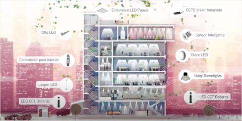 OCTO Commercial Supply de Ansell Lighting