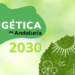 La Junta de Andalucía aprueba su Estrategia Energética para el horizonte 2030