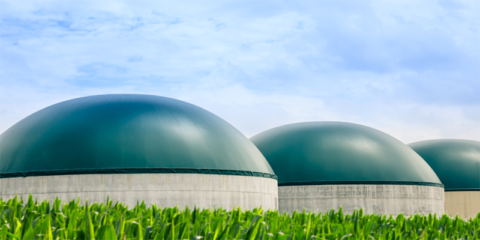 Se lanza una convocatoria de ayudas de 150 millones de euros para instalaciones de biogás