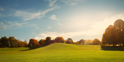 Apuesta por la sostenibilidad de LEDVANCE para minimizar el impacto medioambiental