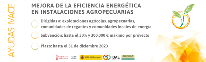 Cuadro resumen ayudas eficiencia energética explotaciones agropecuarias Ivace.