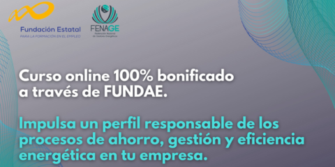 La Academia FENAGE lanza el curso online Responsable de Gestión Energética en la Empresa