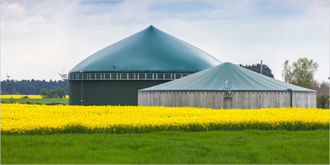 Nedgia trabaja en la generación y distribución de gas renovable, clave para descarbonizar el sector energético