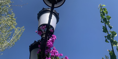 Un total de 18 municipios de la Axarquía en Málaga renuevan su alumbrado público