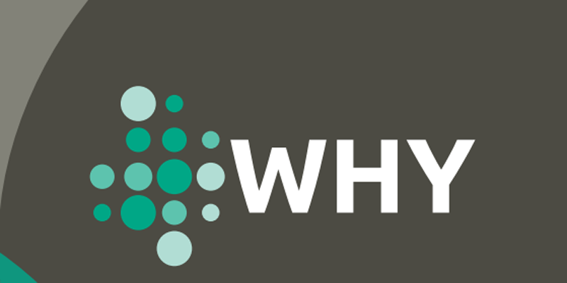Proyecto WHY cartel.