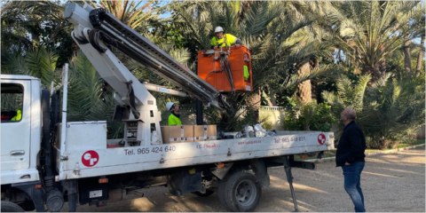 El Ayuntamiento de Elche ahorrará más de 969.000 kW/h con la renovación del alumbrado público