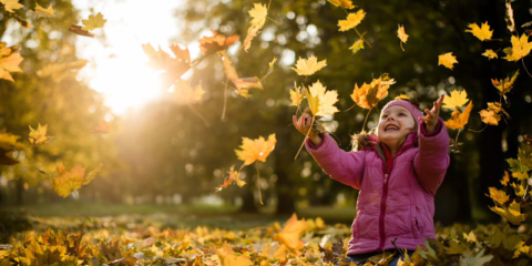 Informe de Schneider Electric sobre los resultados en materia de sostenibilidad del año 2022