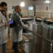 El proyecto Retasteled desarrolla fuentes lumínicas LED para evitar la fotodegradación en los vinos