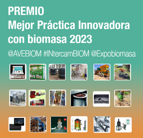 Infografía con 18 fotos en miniatura sobre biomasa.