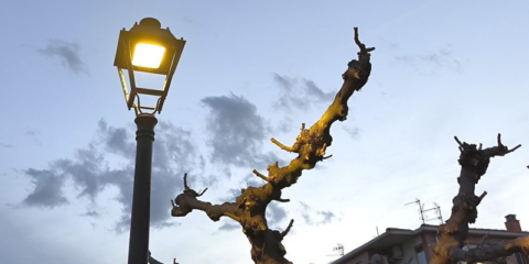 Finaliza la renovación del alumbrado público en el casco antiguo de La Almunia de Doña Godina