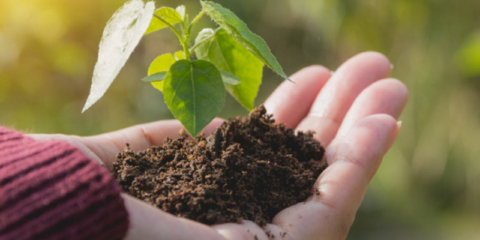 Abierto el plazo para participar en la consulta pública sobre el objetivo climático europeo para 2040