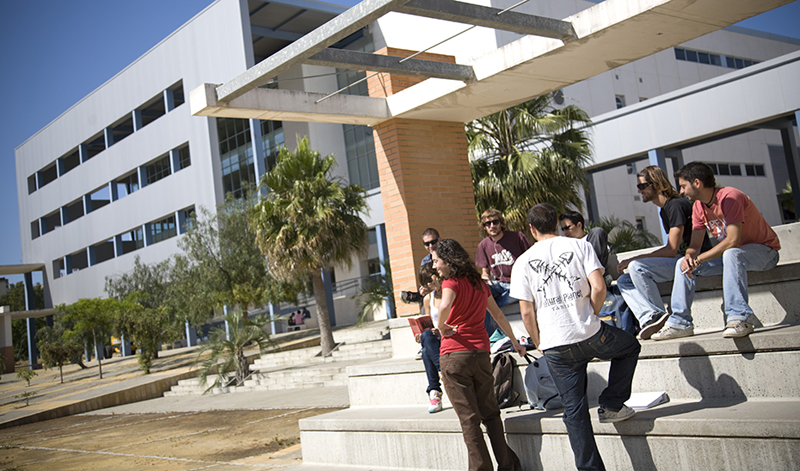 Jóvenes sentados y de pie hablando en las instalaciones de un campus universitario con el edificio al fondo.