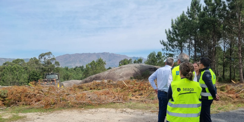 Varias personas reunidas en un bosque al lado de ramas cortadas y colocadas en el suelo.