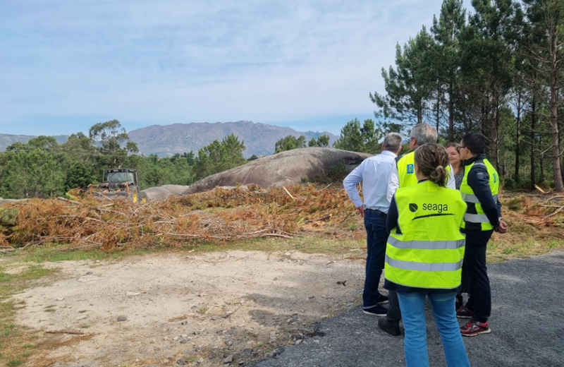 Varias personas reunidas en un bosque al lado de ramas cortadas y colocadas en el suelo.