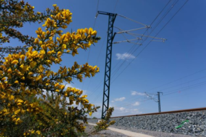 Nuevo contrato de energía eléctrica verde destinada a suministros no telemedidos por 14,4 millones de euros