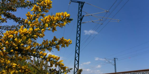 Adif AV lanza un nuevo contrato de energía eléctrica verde para suministros no telemedidos