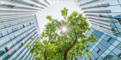 Empresas de la Región de Murcia tendrán asistencia técnica para adoptar soluciones de energía limpia