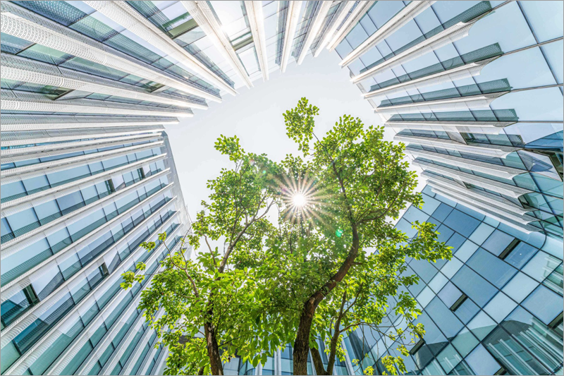 ‘Pacto de Empresas por el Clima y la Energía’ para que las empresas contribuyan a una transición de energía limpia