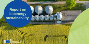 El informe sobre bioenergía proporciona detalles sobre el suministro de biomasa sólida en la UE