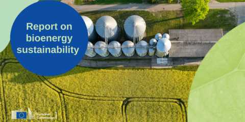 Nuevo informe de la Comisión Europea sobre la sostenibilidad de la bioenergía en la UE