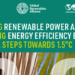 Informe con políticas para triplicar la energía renovable y duplicar la eficiencia energética para 2030